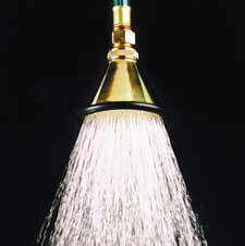 Dramm 540B Brass Rose Water Breaker Watering Nozzle 